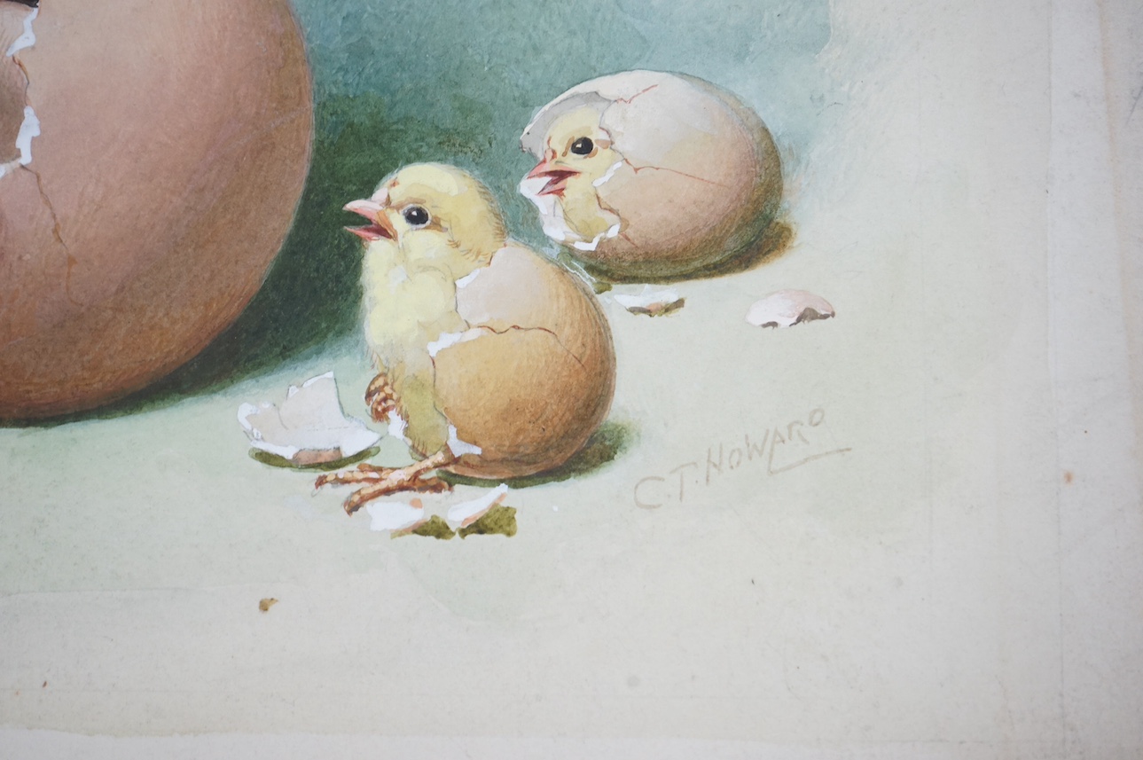 Charles Thomas Howard (1865-1942), set of eight original watercolours for Easter postcard designs, to include chicks, ducklings and rabbits, two signed, unframed, largest 22 x 33cm. Condition - fair